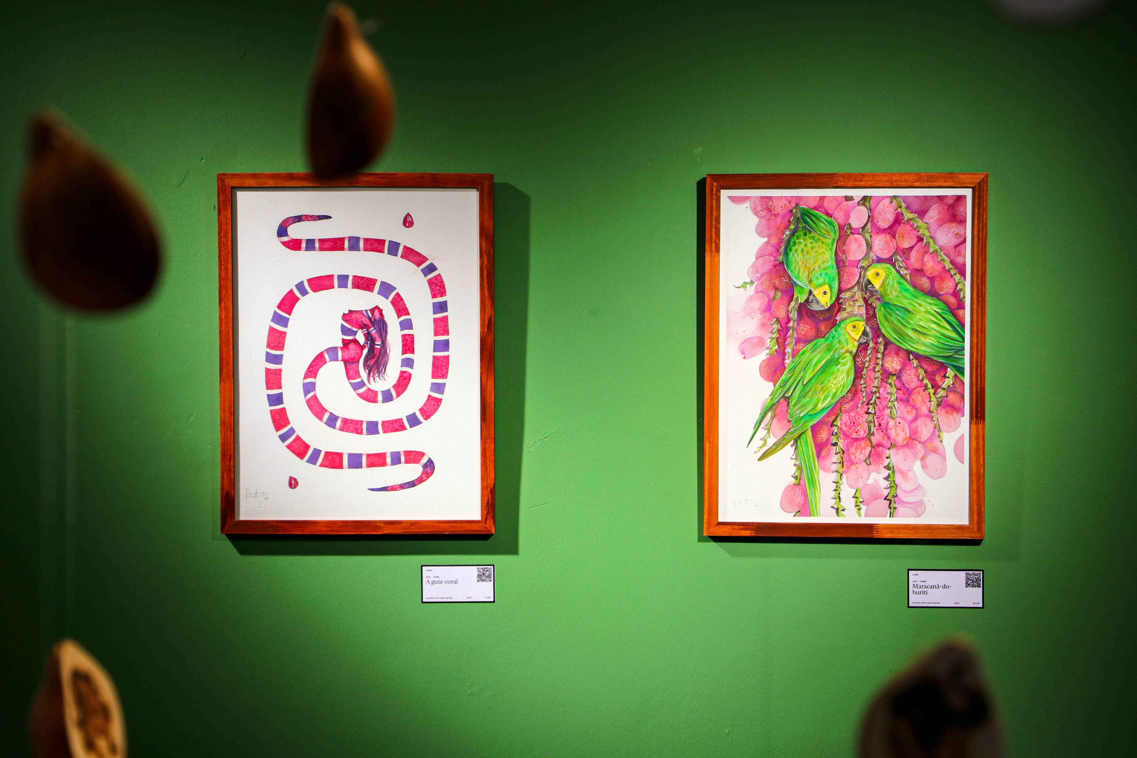 Exposição Manifesta – Aquarela Tradicional Tocantinense valoriza cultura nortista no Espaço Cultural