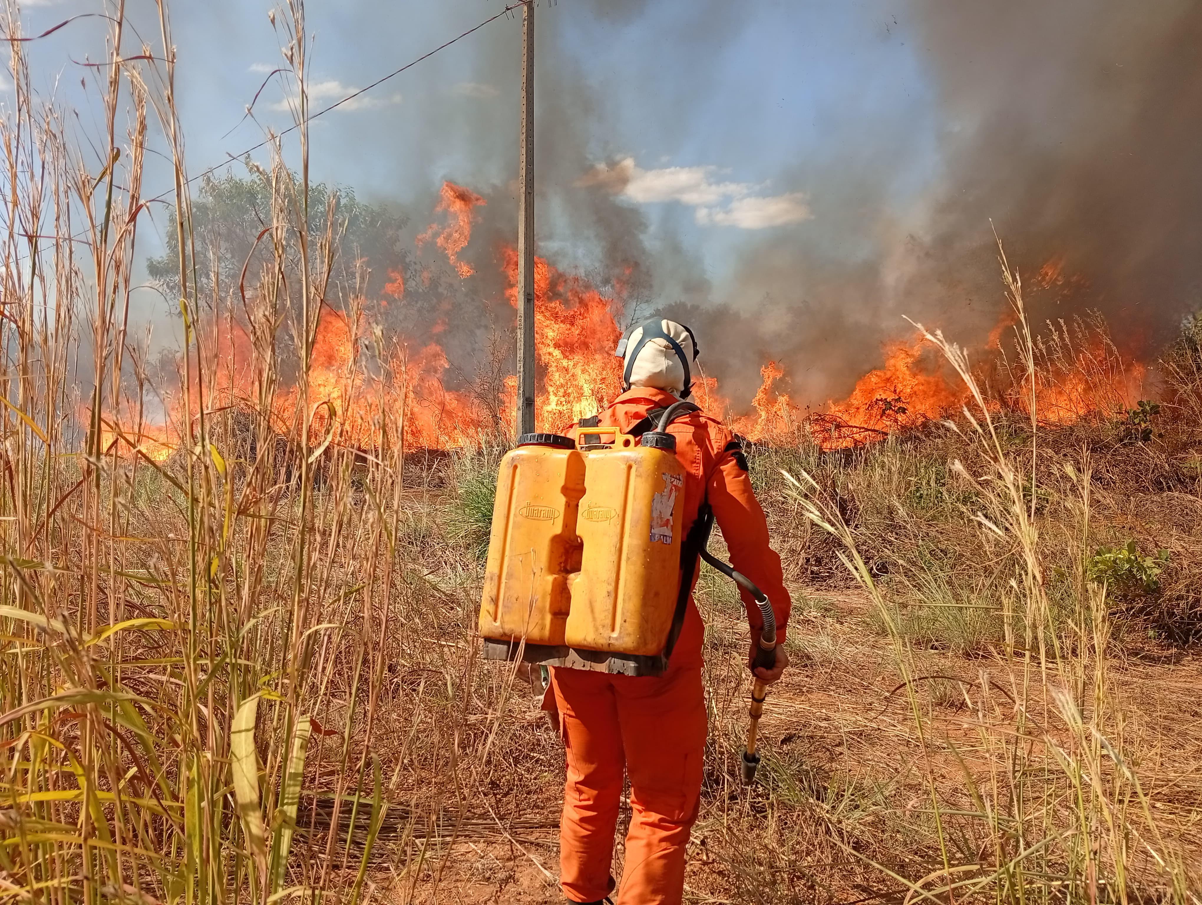 Equipe em atuação na região sul de Palmas