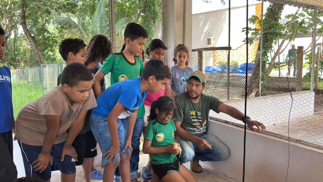 ETI Fidêncio Bogo retoma projeto de avicultura