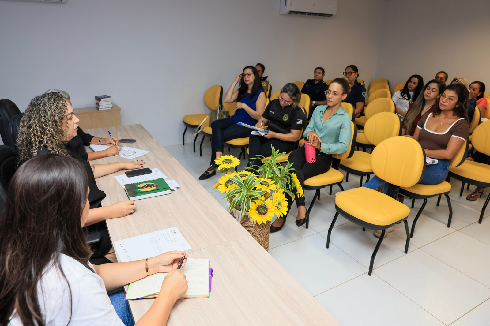Secretária da Mulher de Palmas reforça fortalecimento da rede de proteção durante reunião na Capital