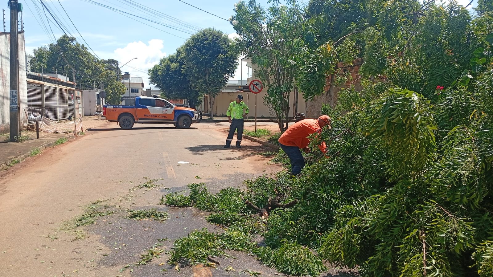 Defesa Civil Municipal atende região norte da Capital após chuva intensa provocar queda de árvores