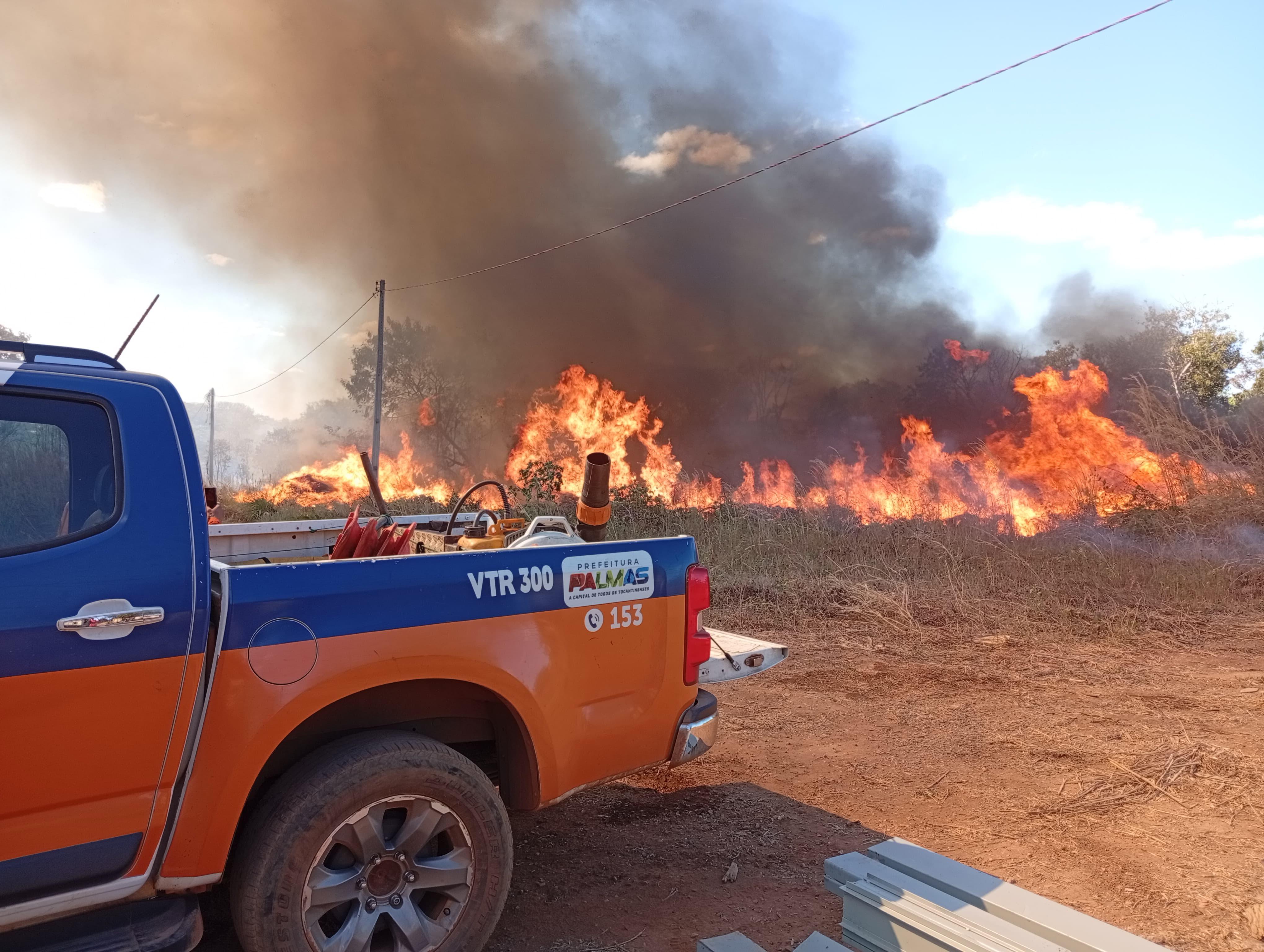 Brigadistas utilizaram bombas costais e sopradores para combater o fogo