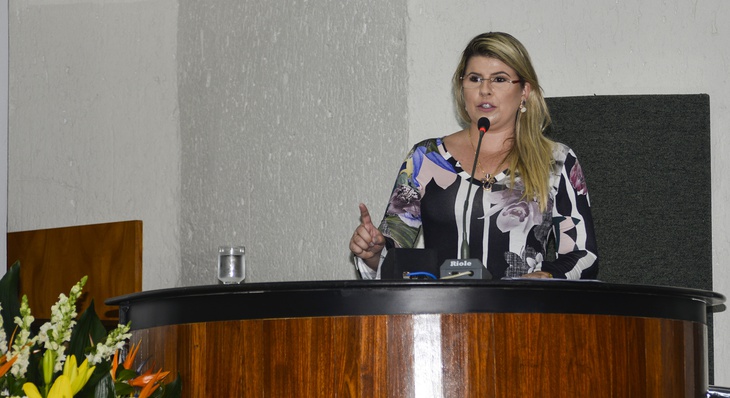 Na tribuna, Fernanda Nogueira pediu sobre respeito ao povo nordestino, inteligente e trabalhador