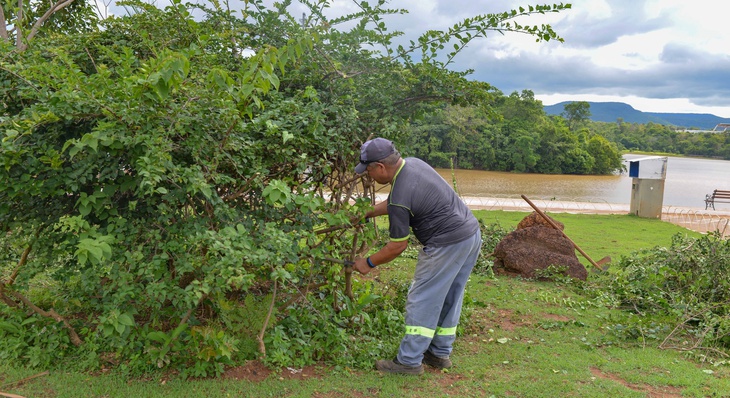 Trabalhador da limpeza urbana realiza poda de árvore no Parque Cesamar