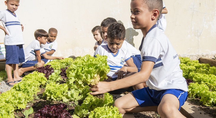 Depois da colheita do dia, feita pela turminha do Heitor Alencar Gomes, 6 anos, hortaliças foram separadas em saquinhos para que as crianças levassem para casa