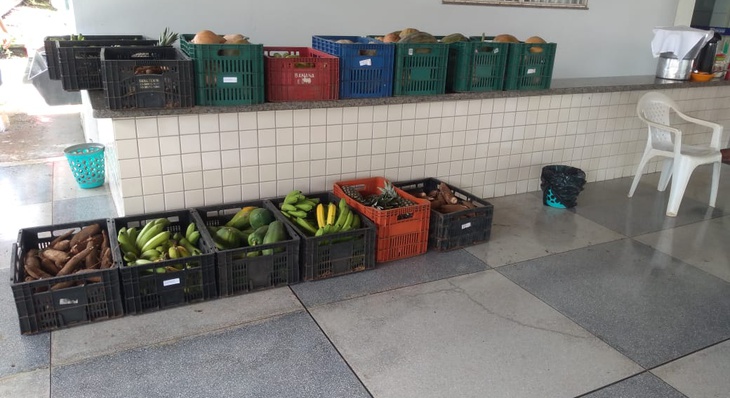 Famílias receberam mandioca, banana, mamão, abacaxi, abóbora e quiabo