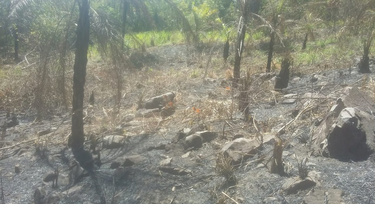Área queimada fica na região do Vale do Mutum, em Taquaruçu