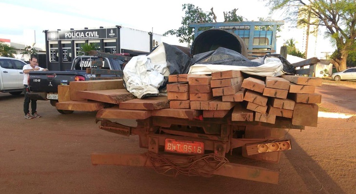 Fiscais da GMP lavraram um auto de infração por transporte ilegal de madeira no valor de R$ 600.00