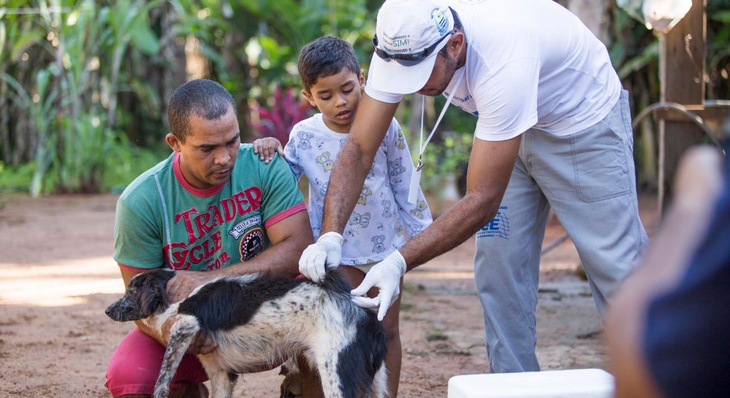 O exame em cães pode ser realizado na UVCZ de Palmas, em horário comercial, para os residentes no município