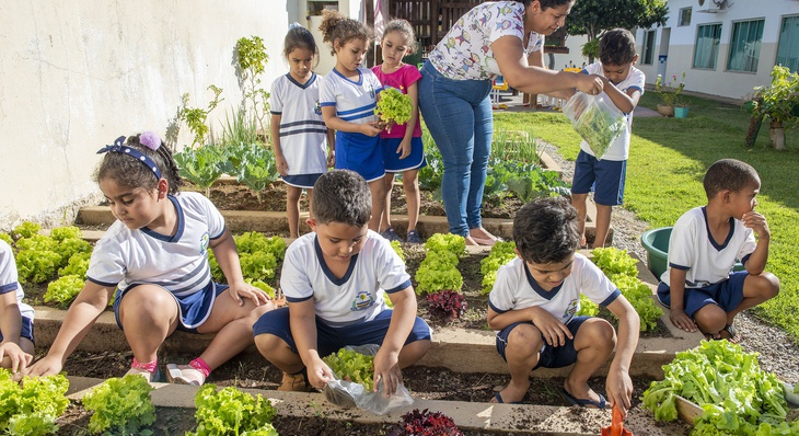 Além de aprender sobre o cultivo de legumes e verduras nas hortas da unidade, as crianças também se divertem com a atividade