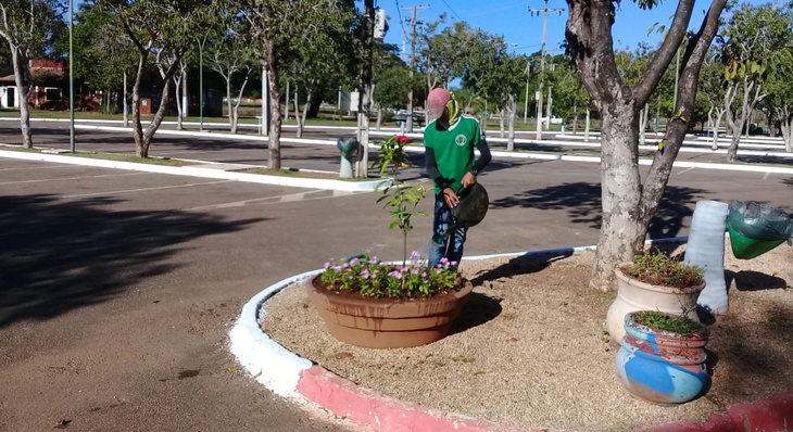 Equipe de jardinagem garante longevidade de canteiros de flores em parques, avenidas e praças