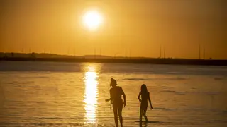 0e95412c-546c-40d3-9e3a-fd7084bdec46
