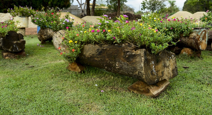 Troncos de árvores caídas e restos de poda são transformados em cochos para decoração paisagística da cidade 