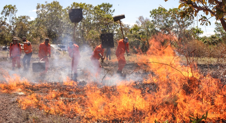 Treinamento prático no combate as queimadas florestais com uso de abafadores e bombas costais