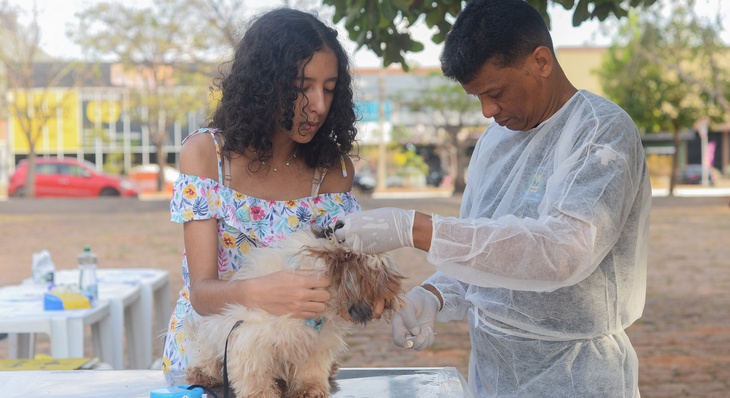 Com diagnóstico positivo de calazar, a cadelinha Meg foi levada por sua proprietária para refazer o exame na ação do Parque dos Povos Indígenas