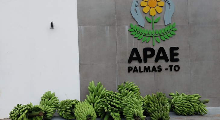 Apae Palmas recebe 300 quilos de banana produzidas na Fazendinha do Calor Humano da Secretaria de Desenvolvimento Rural