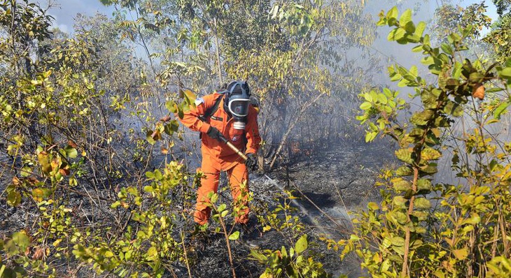 Município de Palmas orienta cidadãos sobre prevenção de incêndios decorrente de queimadas