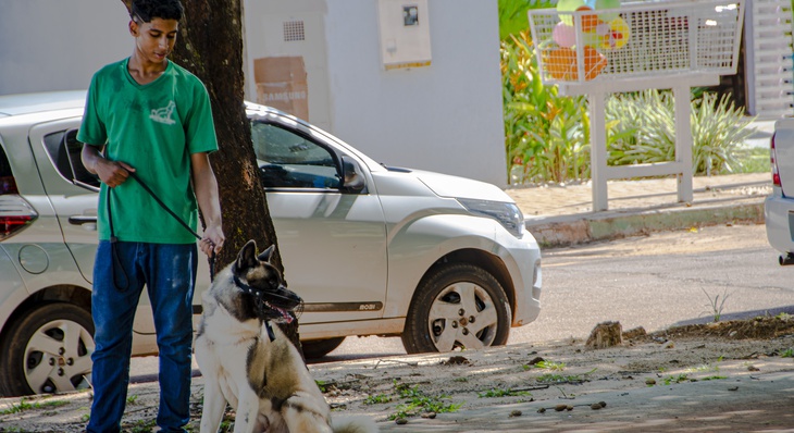 Cuidador de cães Erick realiza exercícios de socialização com macho da espécie Akita na praça da Arse 21