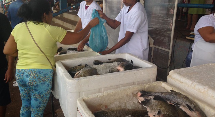 Em 2018, mais de 60 mil pessoas adquiriram nas feiras de Palmas pescado fresco