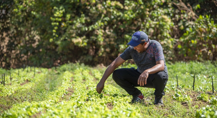 Agricultor Manoel Almeida diz que graças ao preparo do solo com tratores foi possível expandir seus canteiros de horta e garantir o abastecimento dos seus clientes