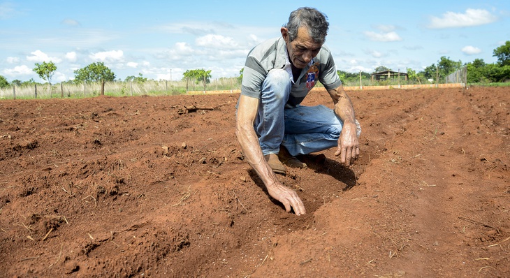 Ezequiel Gomes Noronha está otimista com implantação de  Unidade Demonstrativa de Mandiocultura e espera obter bons resultados na colheita