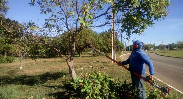 Serviço de poda de árvores sendo realizado na Arse 102