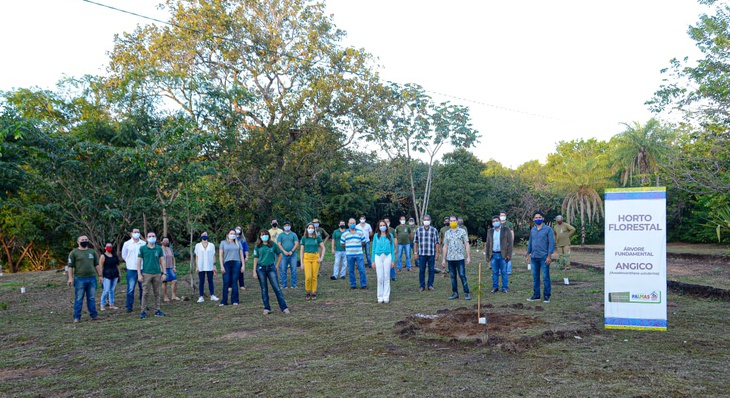 Todos os presentes se posicionaram em um círculo, respeitando o distanciamento físico, simbolizando um abraço a ‘Árvore Fundamental’