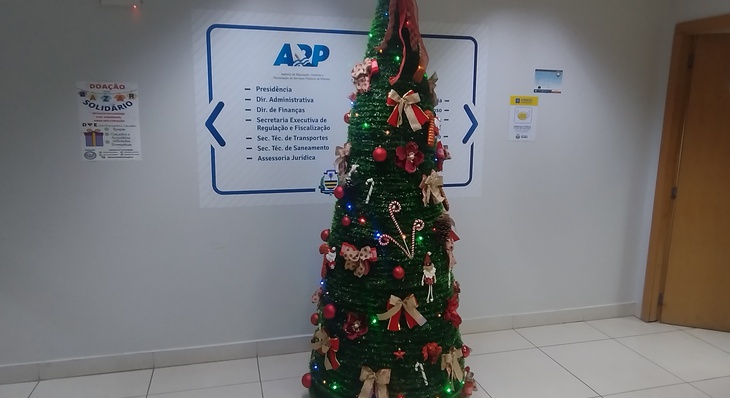 Servidores da ARP montam árvore de natal com material reciclado -  Prefeitura Municipal de Palmas - TO