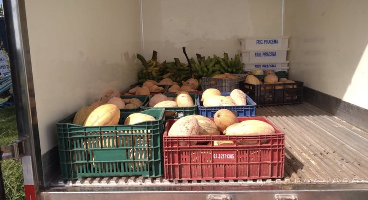As frutas e legumes foram cultivadas na Unidade Demonstrativa da Prefeitura de Palmas, na área do Parque Agrotecnológico do Tocantins