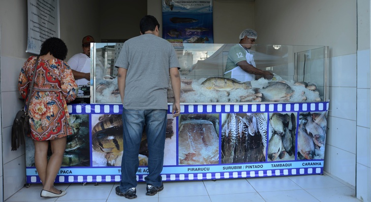 Consumidores movimentaram os novos boxes de pescados da Feira 304 Sul
