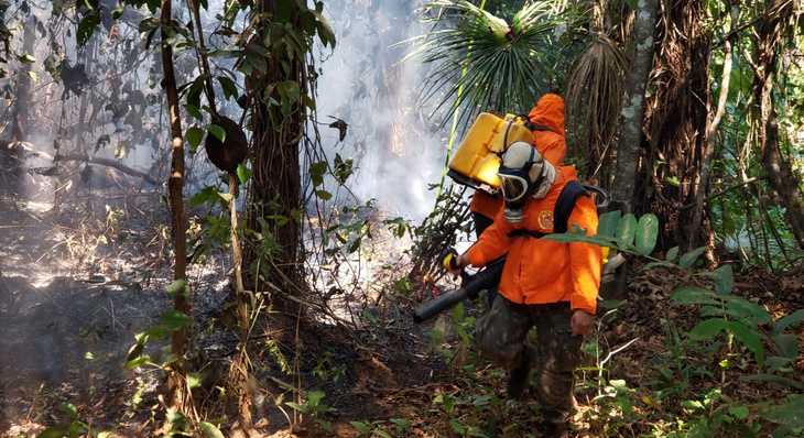 Anualmente diversas ações são desenvolvidas para prevenir e atuar no combate às queimadas