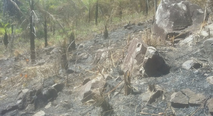 Aproximadamente um hectare de área agropastoril foi consumido pelo fogo