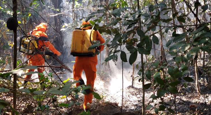 Equipe combate focos de incêndio na zona Rural de Palmas