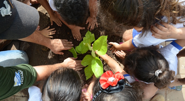 “Esse momento vai ficar marcado na cabecinha deles, eles além de aprender sobre as árvores viram e ajudaram a plantar estas mudas", diretora do CMEI, Rosimeire Rosa Pires