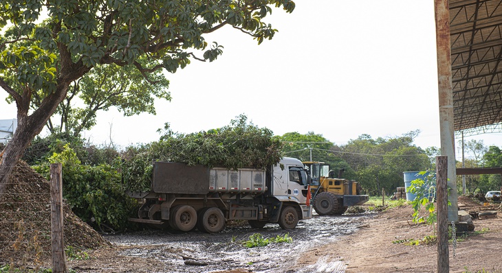 Nos dois primeiros meses deste ano, 1.719 toneladas de restos de poda foram encaminhados aos ecopontos de Palmas