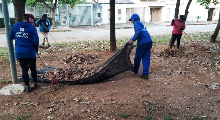 Equipe recolhe com rastelo folhas secas retiradas de praça pública