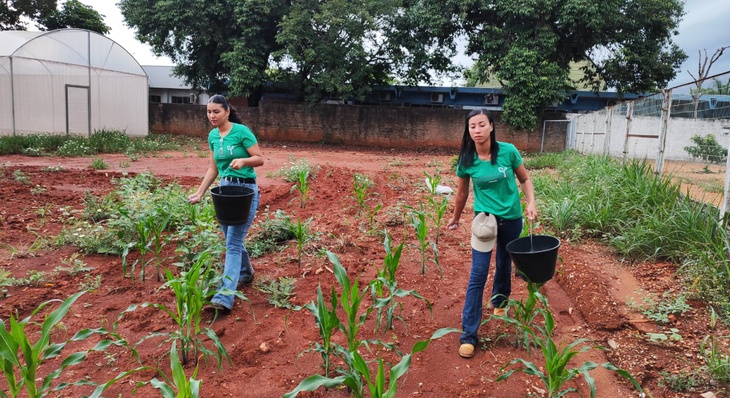 Equipes do proejeto Germinar, da Semed, realizam a primeira adubação da safra de milho e mandioca