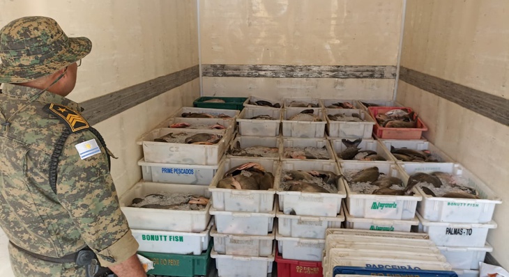 Aproximadamente duas toneladas de pescado foram apreendidas pelos agentes da Guarda Metropolitana Ambiental