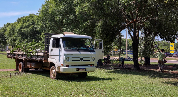 Caminhão recolhe galhadas caídas de canteiro central e estacionamentos da Avenida Teotônio Segurado