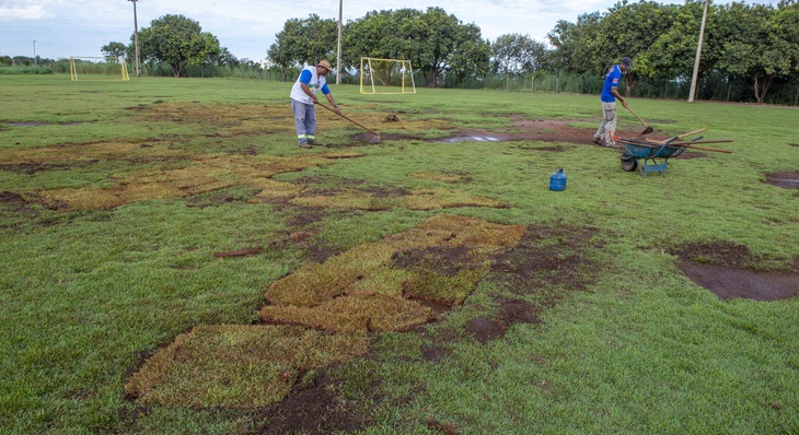 Para garantir recuperação do gramado após replantio, campo ficará sem uso de 30 a 40 dias