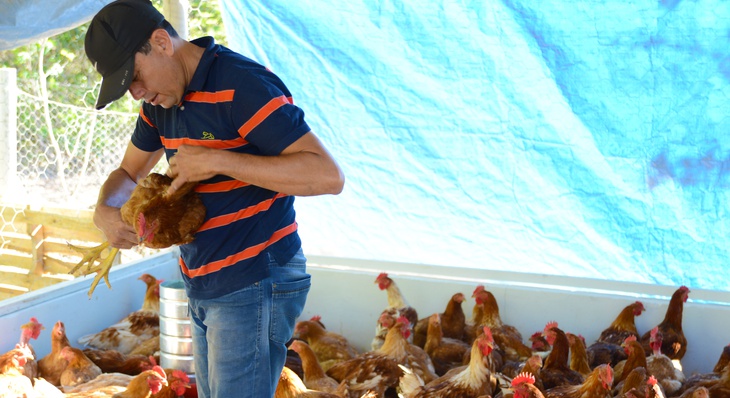 Jaílson do Nascimento se qualificou para investir em galinhas melhoradas e fugir do estresse