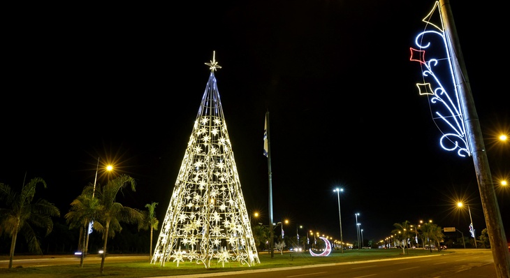 Árvore de 22 metros instalada na Av. Teotônio Segurado em frente ao Estádio Nilton Santos