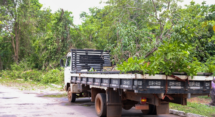 Caminhão recolhe galhos e troncos retirados de via e encaminha a ecoponto para trituração