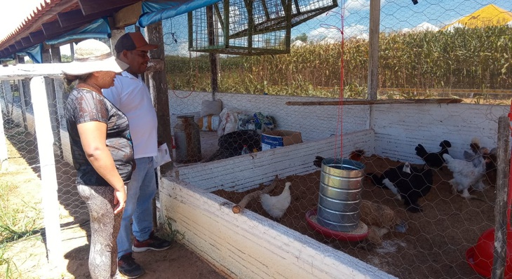 Os produtores Fernando e Delvânia Barros pretendem adotar o sistema de manejo da Fazendinha em sua criação de frangos