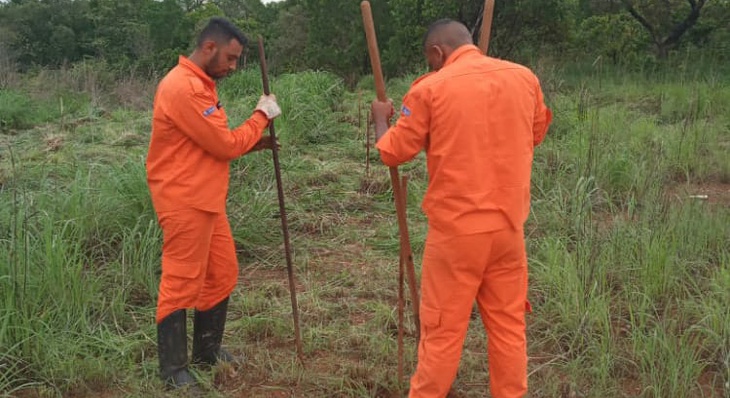 Brigadistas plantam árvores nas áreas atingidas por queimadas, na região do Sussuapara
