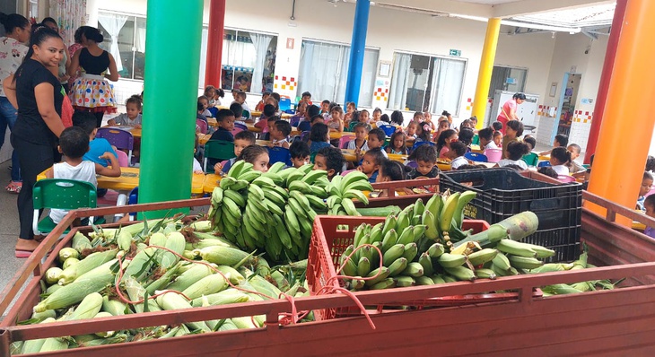 Alimentos da Fazendinha do Calor Humano reforçam merenda em escolas e cmeis