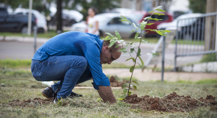  50 árvores foram plantadas na Área Verde da Arne 12, próxima a Escola Comecinho de Vida, parte do Programa ‘MudaClima’