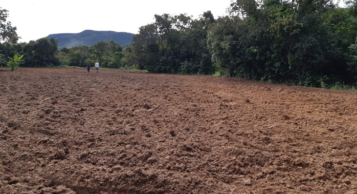 Unidade Demonstrativa de Agroecologia possui cinco mil metros quadrados e está situada em Taquaruçu Grande