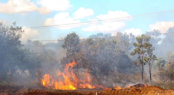 Programa visa conscientizar proprietários rurais sobre a importância do não uso do fogo neste período seco.