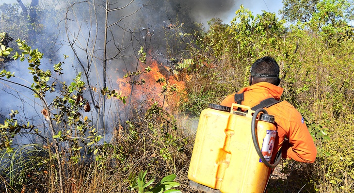 Equipes da brigada de incêndio da Defesa Civil Municipal combateram focos de queimada
